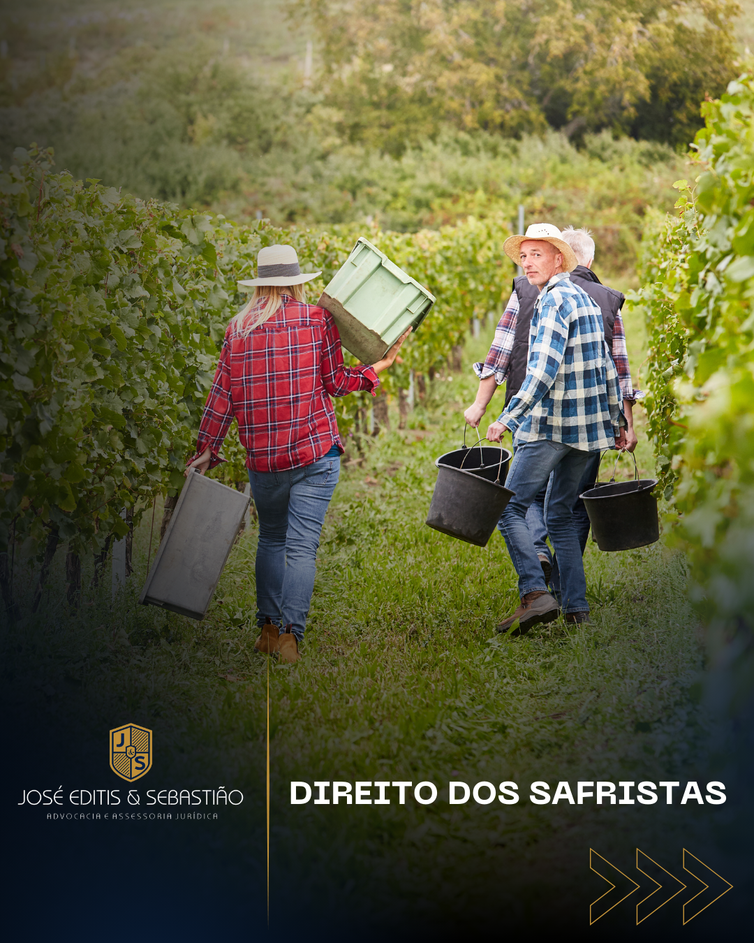 Conheça alguns dos direitos dos safristas! 🍃